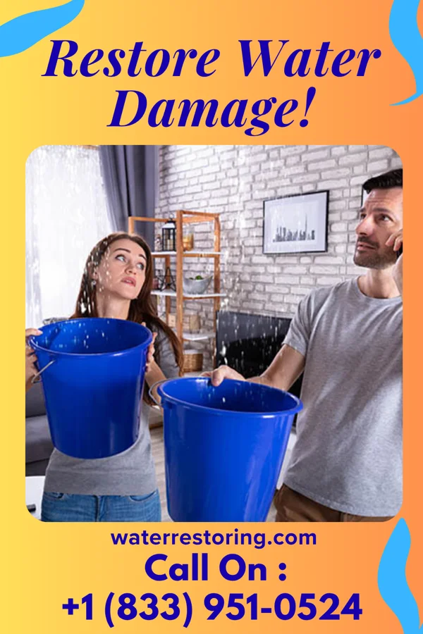 water restoration Master Damage Recovery Force Bronson