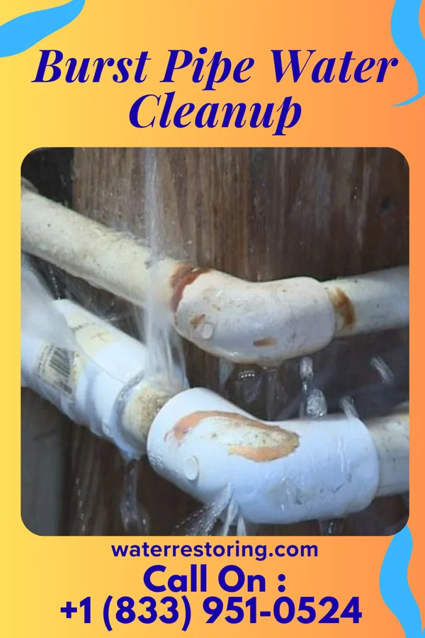 Burst Pipe Water Cleanup in Bronson, IA