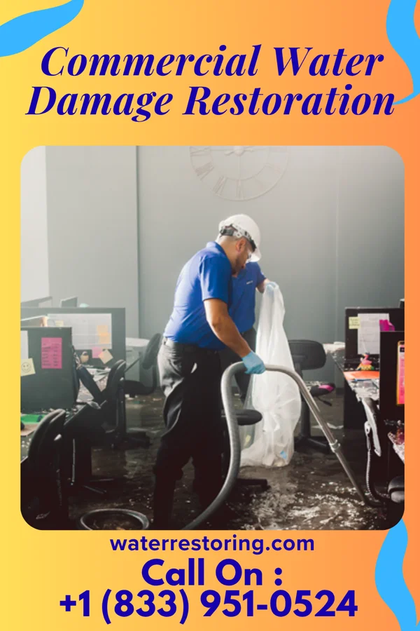 Commercial Water Damage Restoration in Bronson, IA