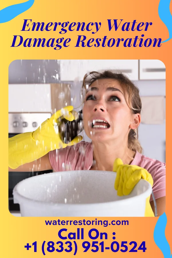Emergency Water Damage Restoration in Bronson, IA